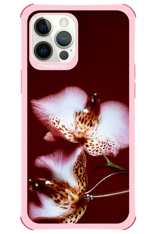 Leobloomy 2.0 - Apple iPhone 12 Pro Max