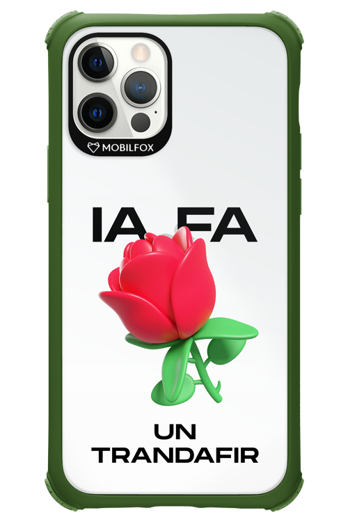IA Rose Transparent - Apple iPhone 12 Pro