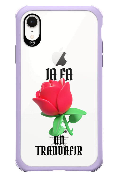 Rose Transparent - Apple iPhone XR
