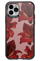 Amaryllis Mist - Apple iPhone 11 Pro
