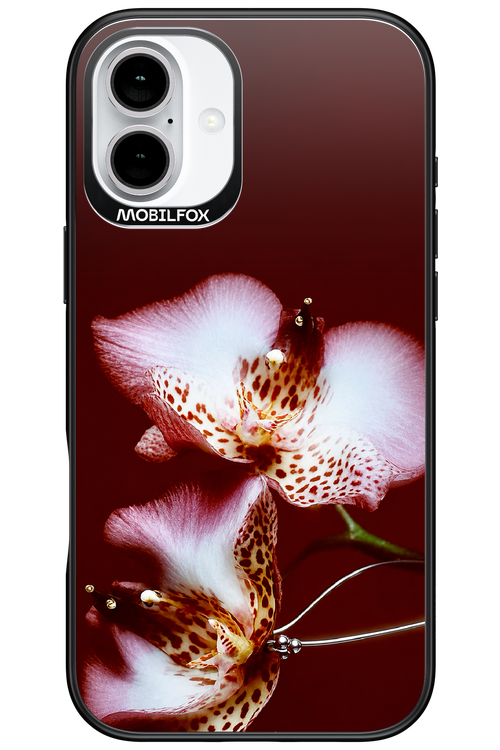 Leobloomy 2.0 - Apple iPhone 16 Plus