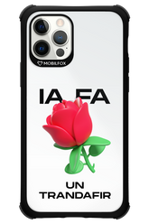 IA Rose Transparent - Apple iPhone 12 Pro