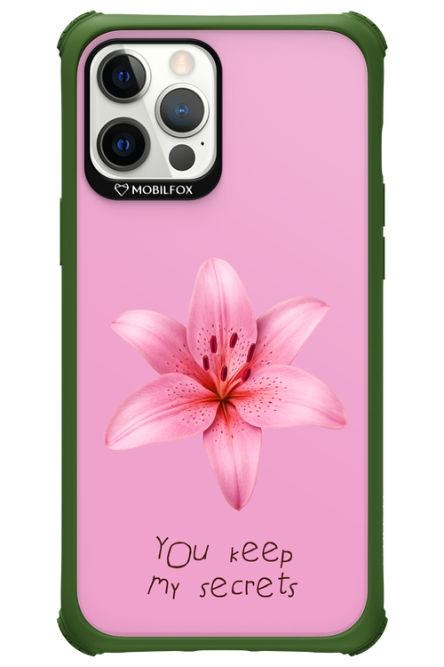 Secrets 2.0 - Apple iPhone 12 Pro Max