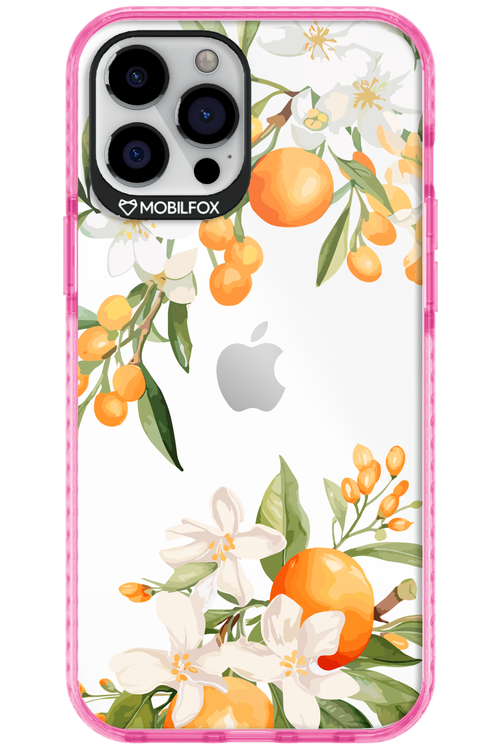 Amalfi Orange 2.0 - Apple iPhone 12 Pro Max