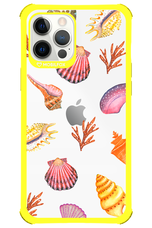 Sea Shells - Apple iPhone 12 Pro Max