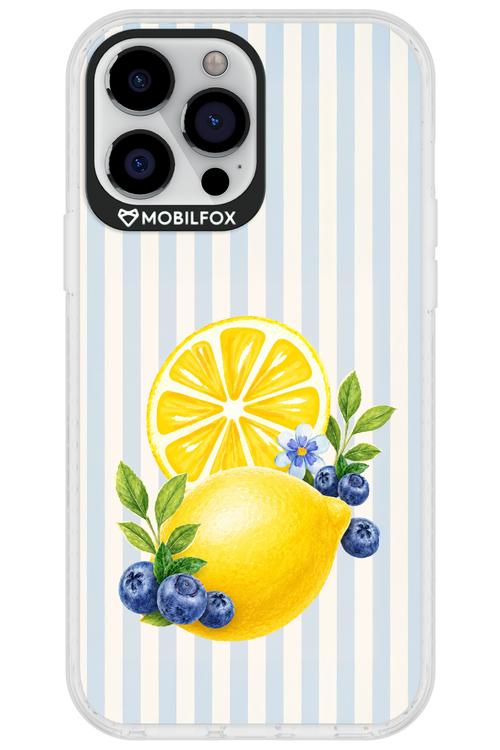 Fresh Flash 2.0 - Apple iPhone 13 Pro Max