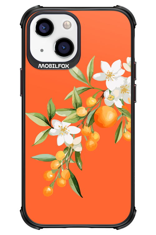 Amalfi Oranges - Apple iPhone 13 Mini