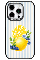 Fresh Flash 2.0 - Apple iPhone 15 Pro