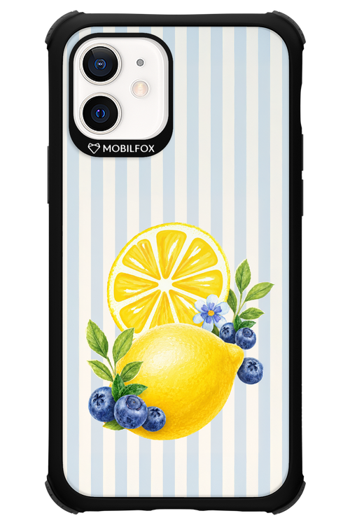 Fresh Flash 2.0 - Apple iPhone 12