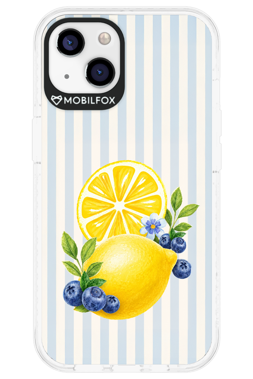 Fresh Flash 2.0 - Apple iPhone 13