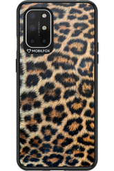 Leopard - OnePlus 8T