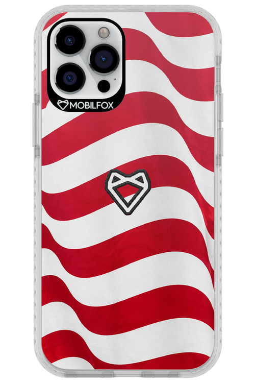 USA 2.0 - Apple iPhone 12 Pro