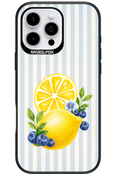 Fresh Flash 2.0 - Apple iPhone 16 Pro Max
