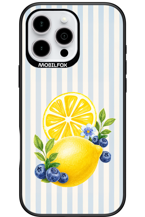 Fresh Flash 2.0 - Apple iPhone 16 Pro Max