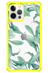 Greenpeace - Apple iPhone 12 Pro Max