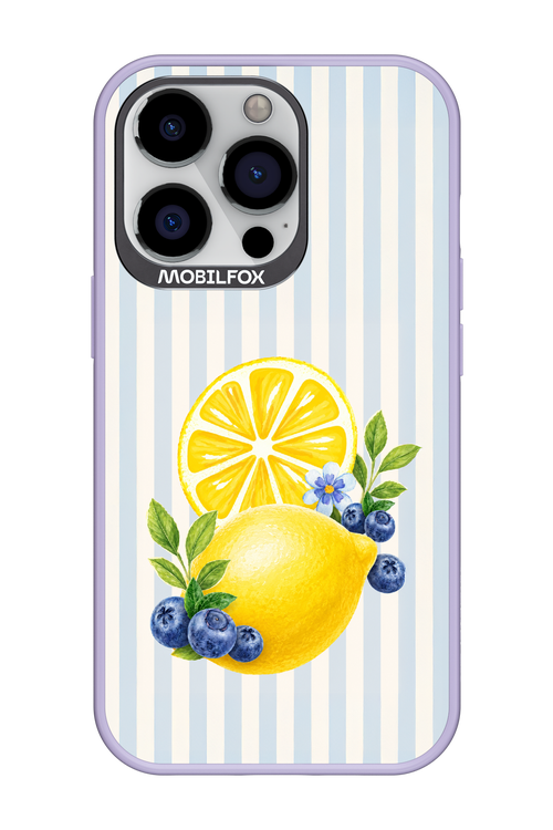 Fresh Flash 2.0 - Apple iPhone 13 Pro