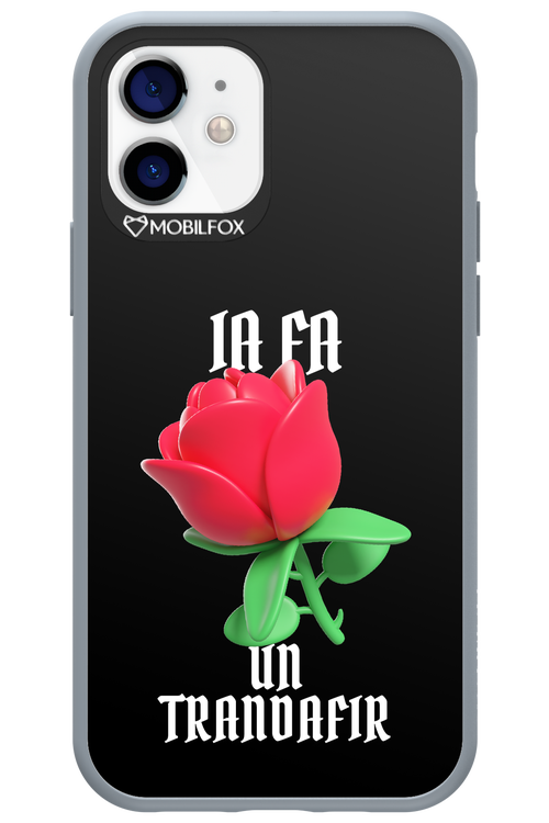 Rose Black - Apple iPhone 12