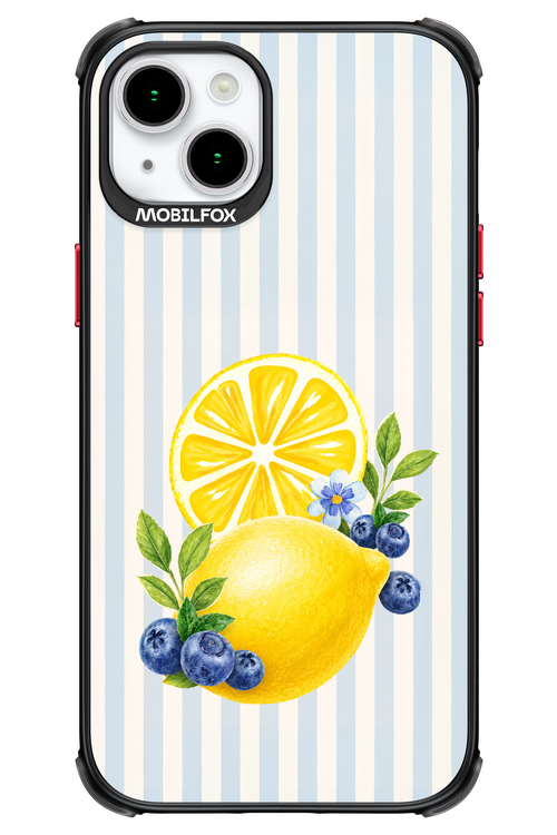 Fresh Flash 2.0 - Apple iPhone 15 Plus