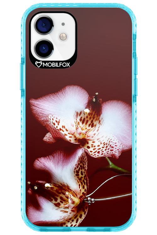 Leobloomy 2.0 - Apple iPhone 12