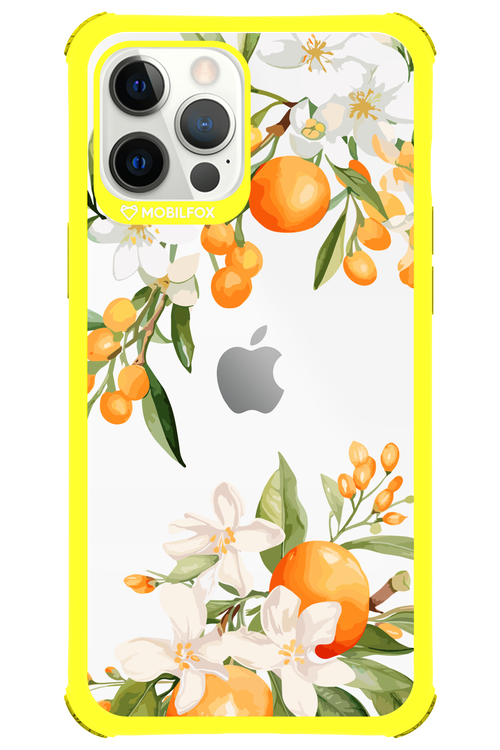 Amalfi Orange 2.0 - Apple iPhone 12 Pro Max