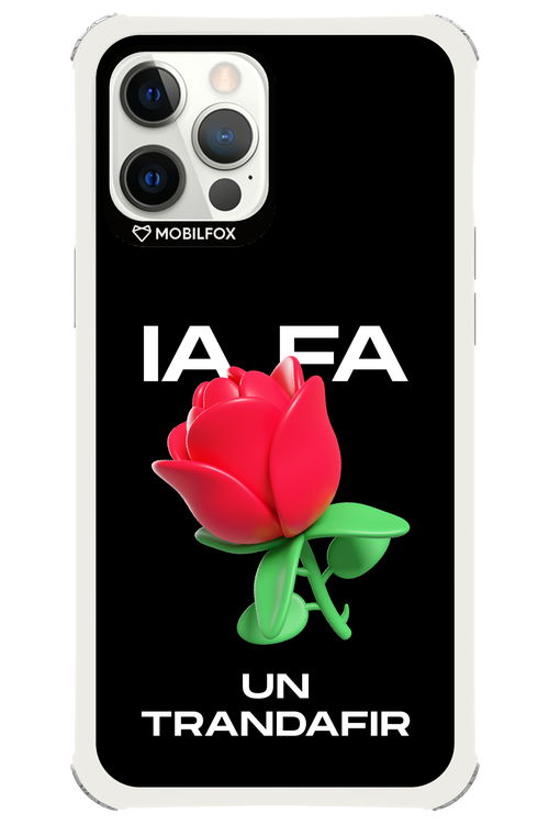 IA Rose Black - Apple iPhone 12 Pro Max