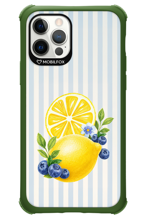 Fresh Flash 2.0 - Apple iPhone 12 Pro