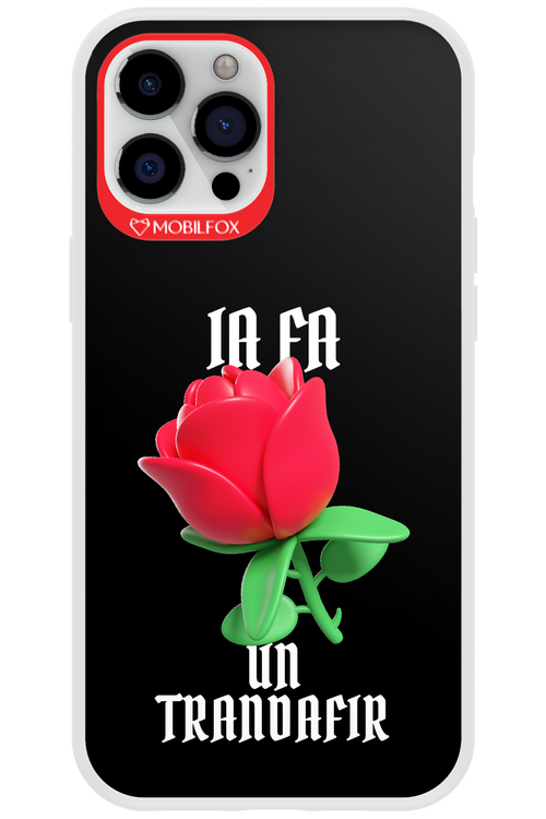 Rose Black - Apple iPhone 12 Pro Max