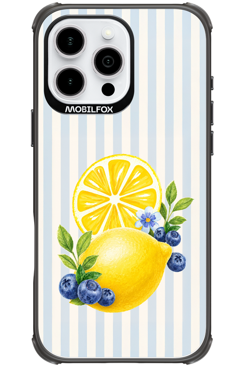Fresh Flash 2.0 - Apple iPhone 16 Pro Max