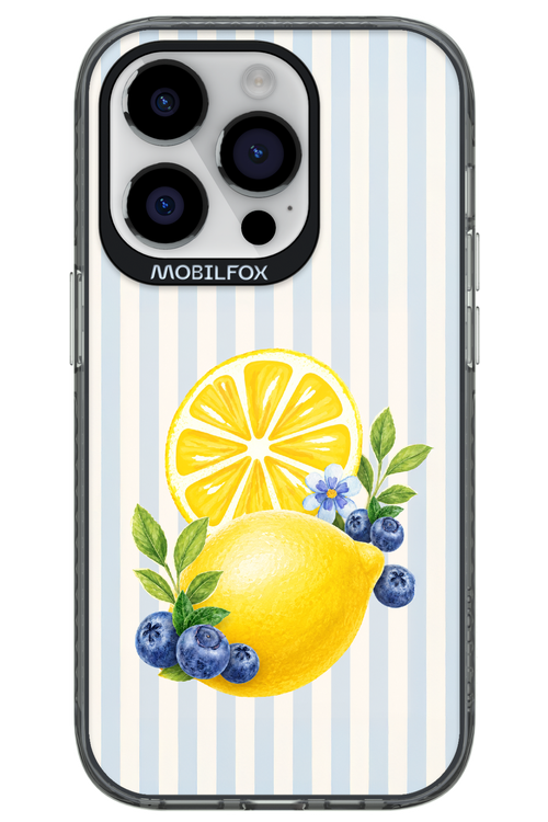 Fresh Flash 2.0 - Apple iPhone 14 Pro