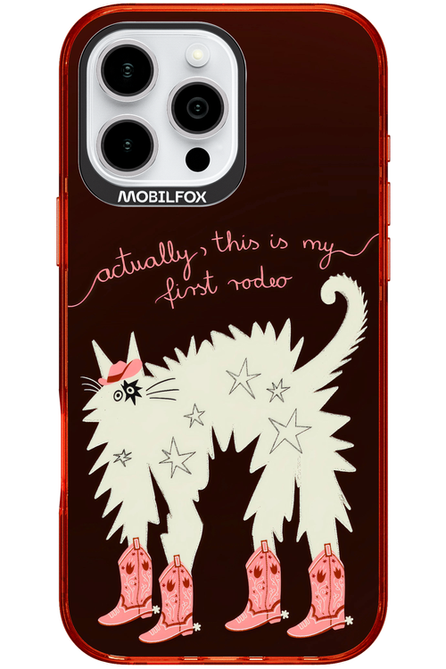 First rodeo 2.0 - Apple iPhone 16 Pro Max