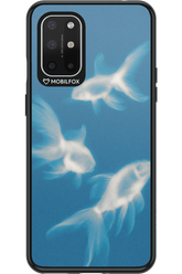 Lady of the Lake 2.0 - OnePlus 8T