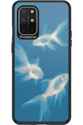 Lady of the Lake 2.0 - OnePlus 8T