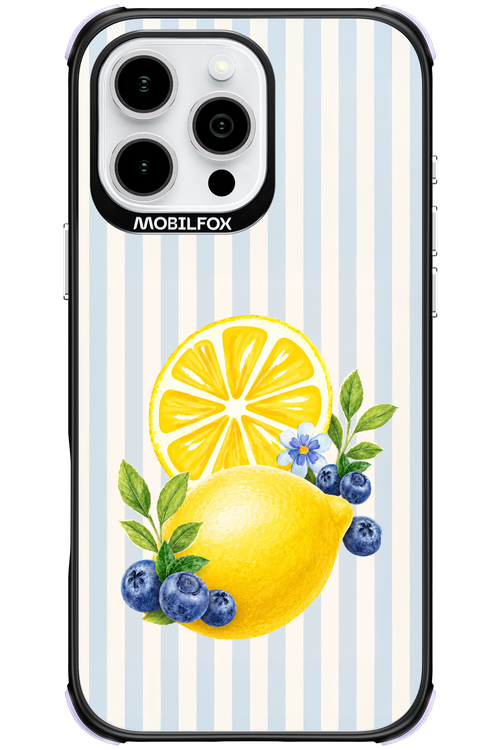 Fresh Flash 2.0 - Apple iPhone 16 Pro Max