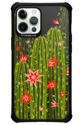 Cactus bloom 2.0 - Apple iPhone 12 Pro Max