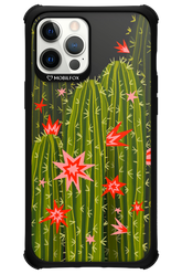Cactus bloom 2.0 - Apple iPhone 12 Pro Max