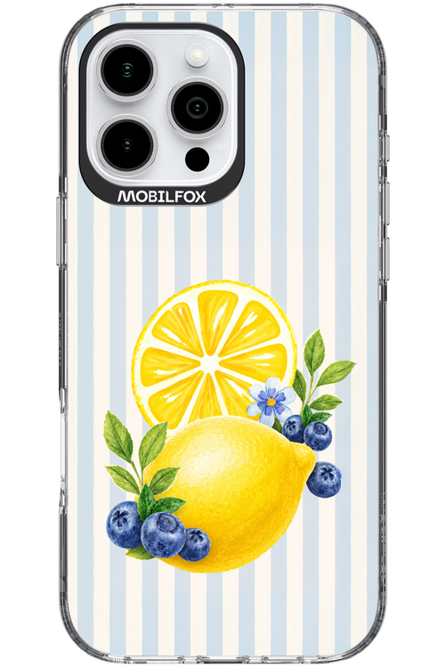 Fresh Flash 2.0 - Apple iPhone 16 Pro Max