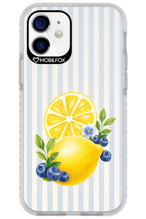 Fresh Flash 2.0 - Apple iPhone 12