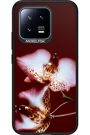 Leobloomy 2.0 - Xiaomi 13