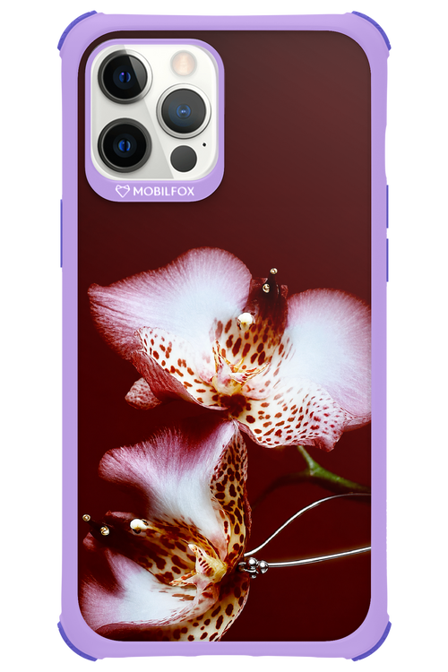 Leobloomy 2.0 - Apple iPhone 12 Pro Max
