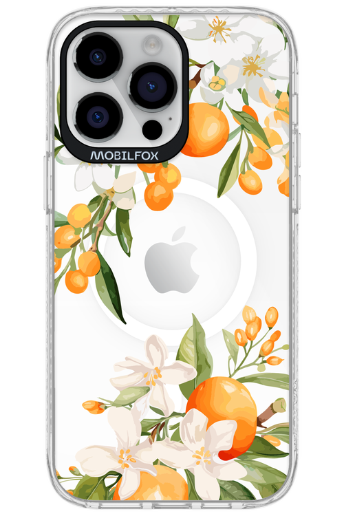 Amalfi Orange 2.0 - Apple iPhone 14 Pro Max