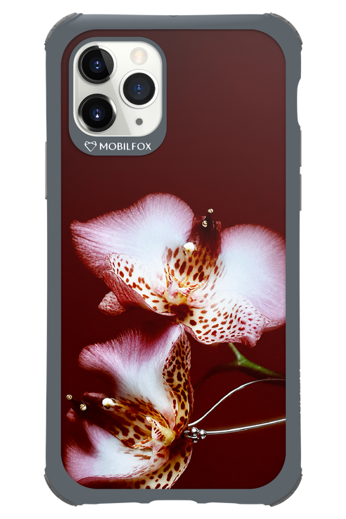 Leobloomy 2.0 - Apple iPhone 11 Pro
