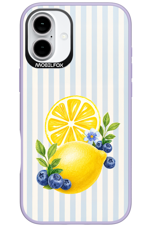 Fresh Flash 2.0 - Apple iPhone 16 Plus