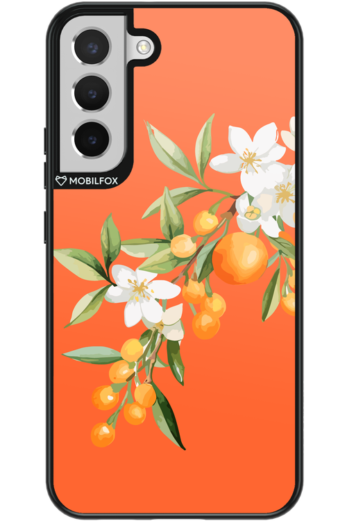 Amalfi Oranges - Samsung Galaxy S22+