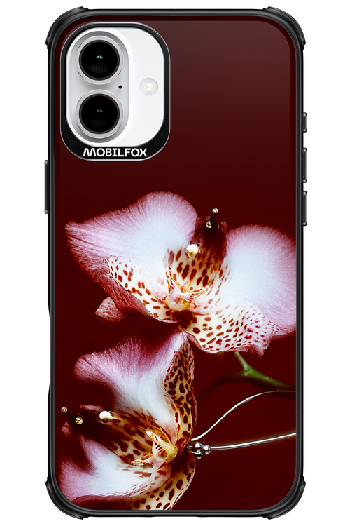 Leobloomy 2.0 - Apple iPhone 16 Plus