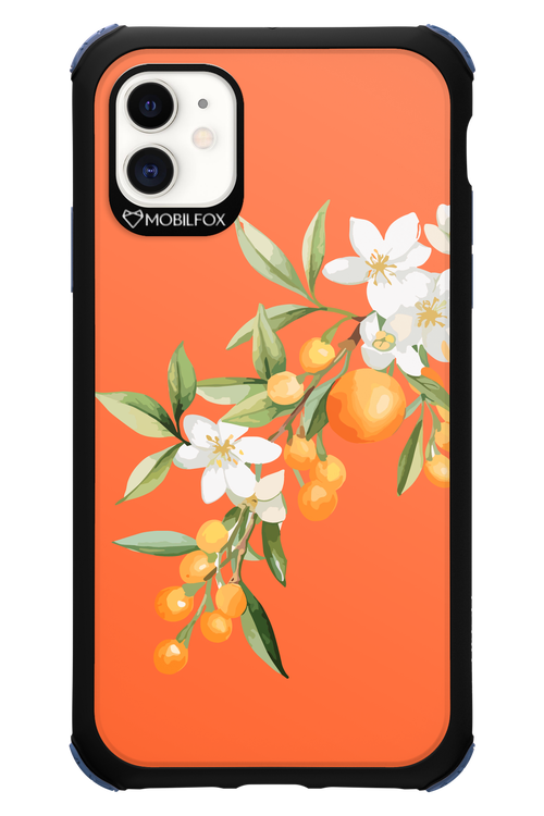 Amalfi Oranges - Apple iPhone 11