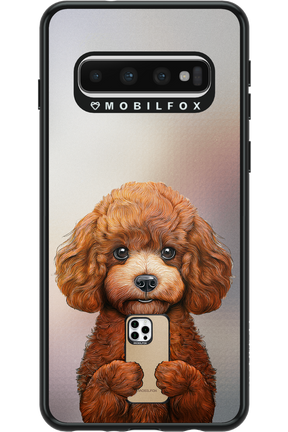 Dog x Fox 2.0 - Samsung Galaxy S10