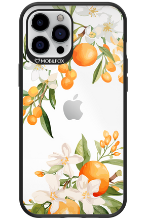 Amalfi Orange - Apple iPhone 12 Pro Max