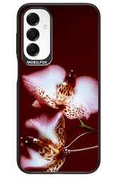 Leobloomy 2.0 - Samsung A16