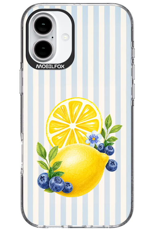 Fresh Flash 2.0 - Apple iPhone 16 Plus