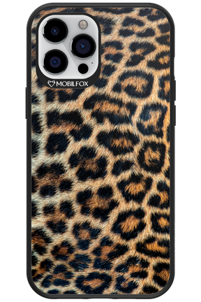 Leopard 2.0 - Apple iPhone 12 Pro Max